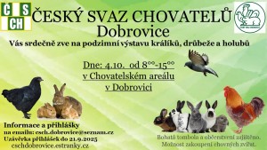 vystava-4.10..jpg